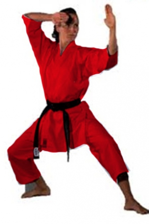 Karate-Prüfungsvorbereitung